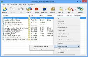 Internet Download Manager 6.41.6 Final Activated 3