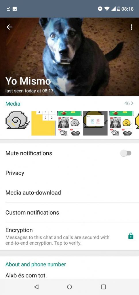 GBWhatsApp v14.10 Unofficial ANTI-BAN Mod 6