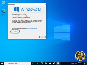 Windows 10 21H1 Consumer+Business Edition May 2021 6