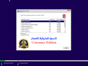 Windows 10 21H1 Consumer+Business Edition May 2021 3