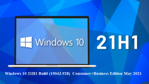 Windows 10 21H1 Consumer+Business Edition May 2021 1