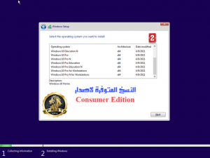 Windows 10 21H1 Consumer+Business Edition May 2021 2