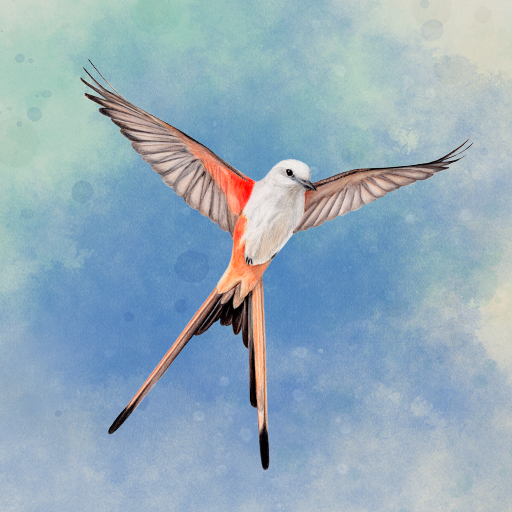 wingspan-the-board-game.png